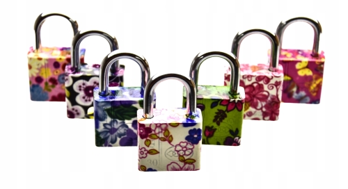 1525bc504274a8b488f9178ef2af