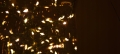 aa5332a14b41b2bc7d0caa32b0ed