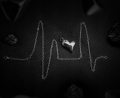 20bb470a495cb9c2c59bb5b47502.jpeg