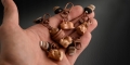 BRELOK-KAPIBARA-BRELOCZEK-ZAWIESZKA-DO-KLUCZY-KAWA-COFFEE-KARABINCZYK-MINI-Wzor-dominujacy-bez-wzoru.jpeg